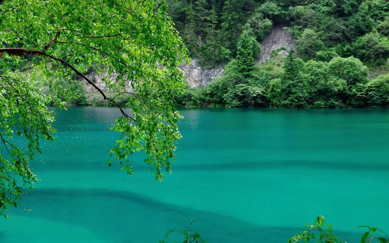 高端智能